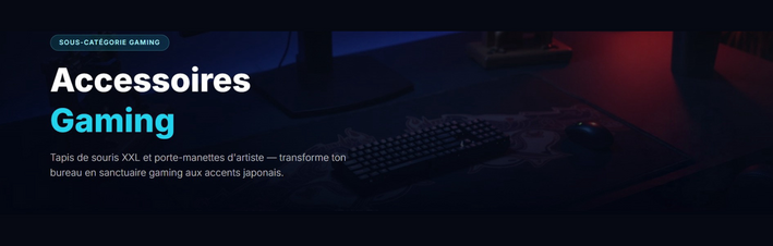 gaming accs bannière